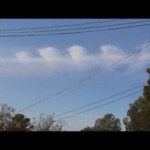 Meet your Posher, Ganise leslie